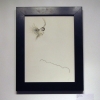 Jaymie Lathem: Migrate Home