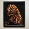 Kyle Bensley: Summer in Lights