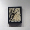 Amanda McKinney, Silhouette Series - Image #28 (1/30)