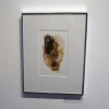 Judy Graham: Cell Life