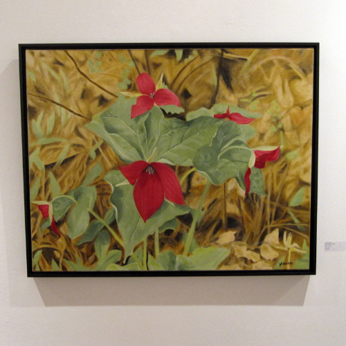 Janet Hilliard: Red Trilliums